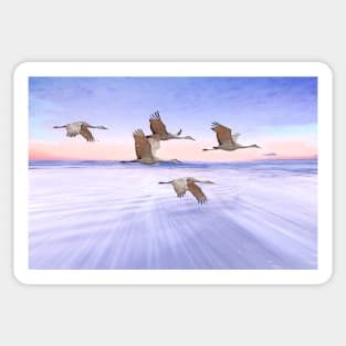 Sandhill Crane and Purple Sunset Sticker